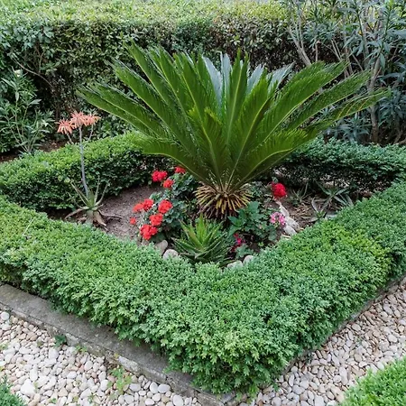 App&Rooms Anica Kampor 3* Kampor